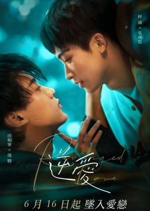 Revenged Love (2025)